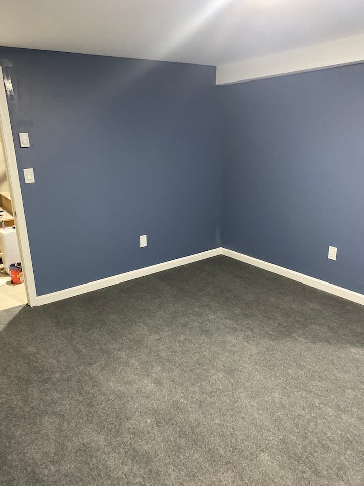 Finished Basement Bedroom