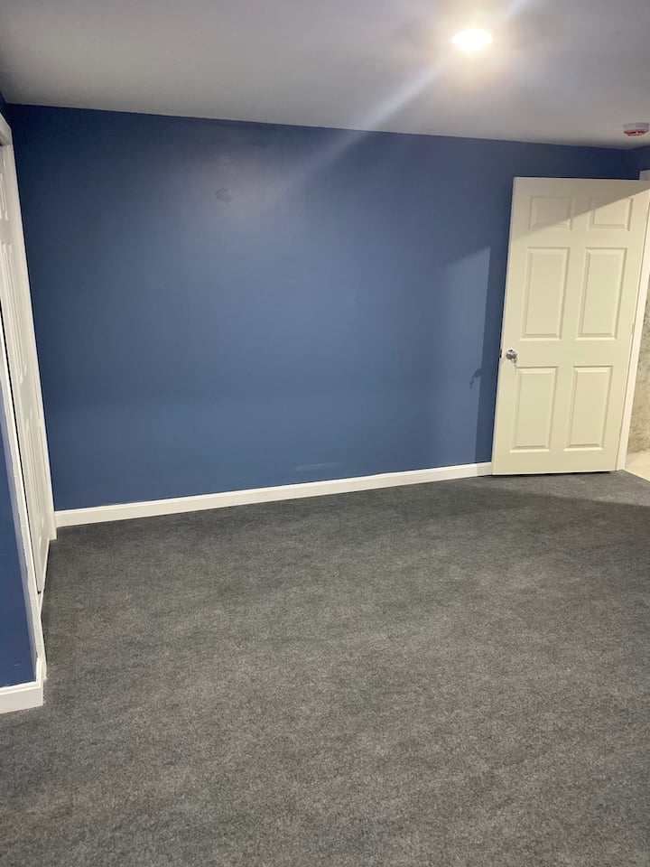 Finished Basement Bedroom
