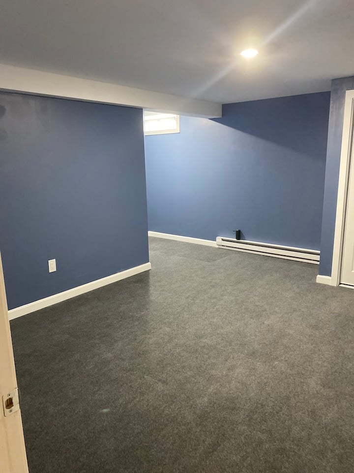 Finished Basement Bedroom