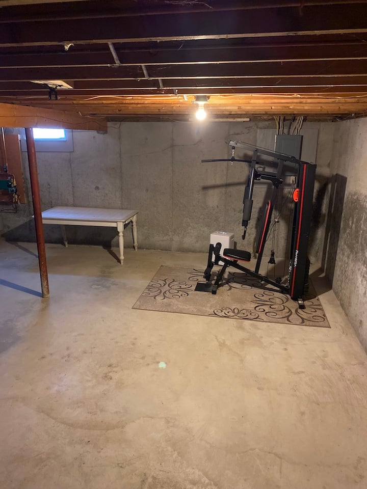 Original Unfinished Basement